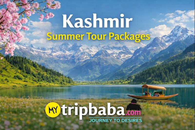Kashmir Summer Tour Packages – Experience Paradise with mytripbaba